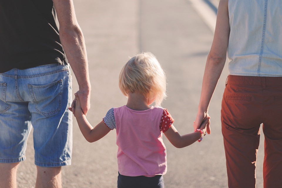 Nevada Custody Laws and Domestic Violence - Ross Goodman