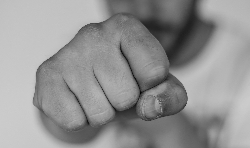 Federal Domestic Violence Laws - Ross Goodman