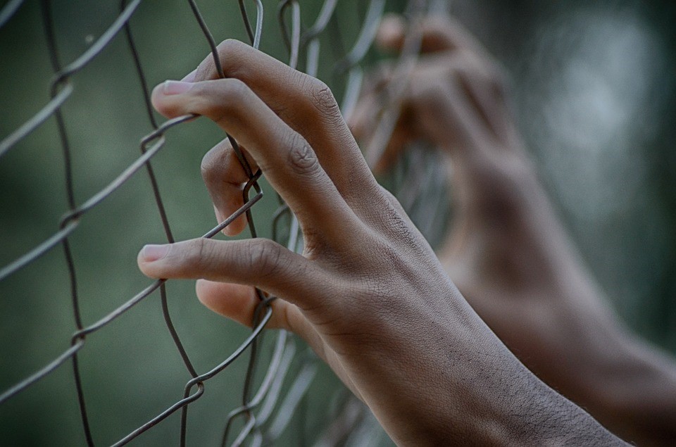 Domestic Violence and Human Trafficking - Ross Goodman