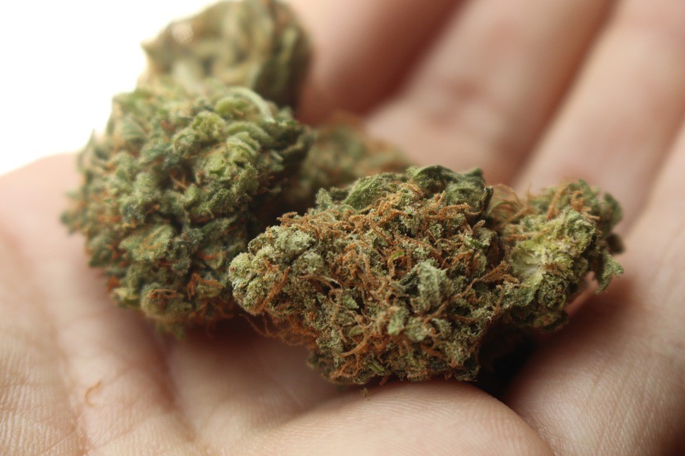 Nevada Marijuana Laws 2019 - Ross Goodman