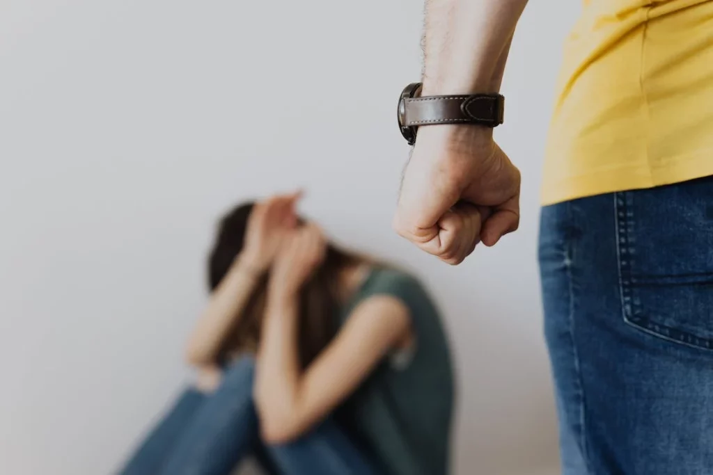 first domestic battery featured image